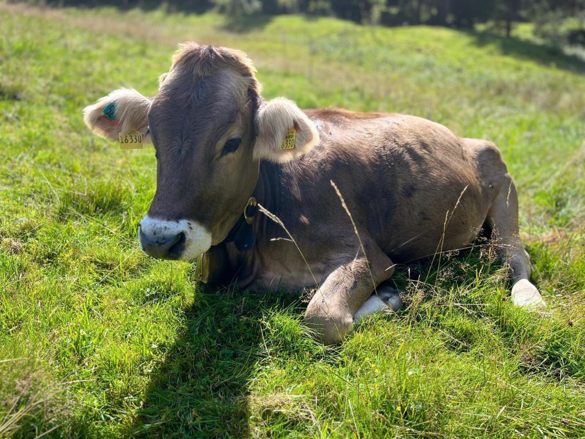 Ferienwohnungen Mama Elva Leutkirch im Allgäu Buitenkant foto